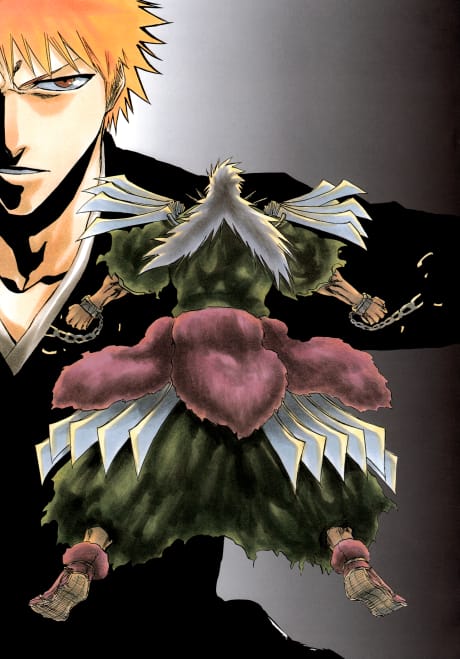 BLEACH 死神：The Sealed Sword Frenzy 封面圖