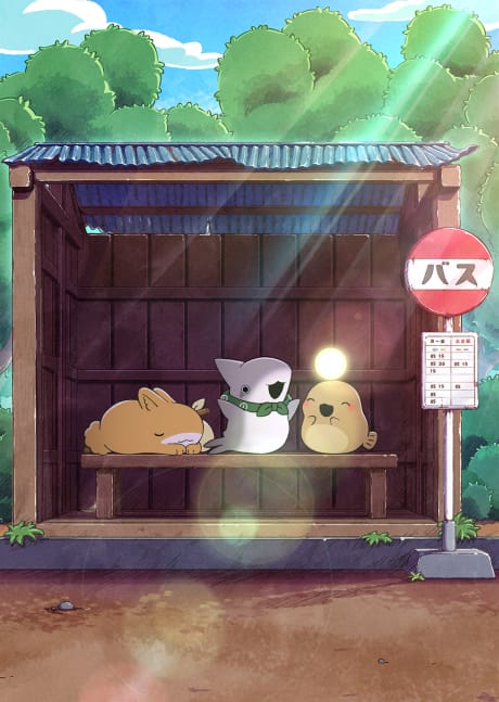 小鯊魚出門趣 第二季 封面圖